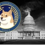 DOGE Software Licenses Audit at HUD