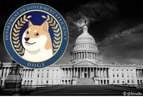 DOGE Software Licenses Audit at HUD