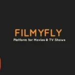 FilmyFly.com Your Go-To Platform for Endless Entertainment