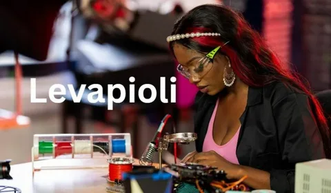 Levapioli The Complete Guide to Revolutionary Business Innovation