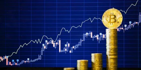 Profitable Investments in Bitcoin